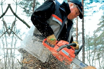 Профессиональная бензопила позволяет быстро распилить необходимые деревья. Фото: club4x4.ru